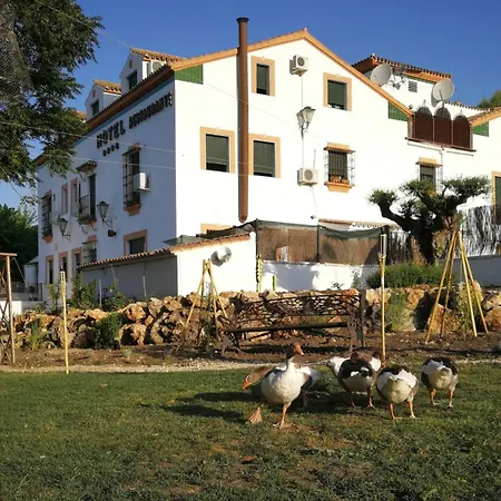 Hotel Hotel Don Manuel 4*